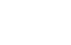 Dutch Webinar